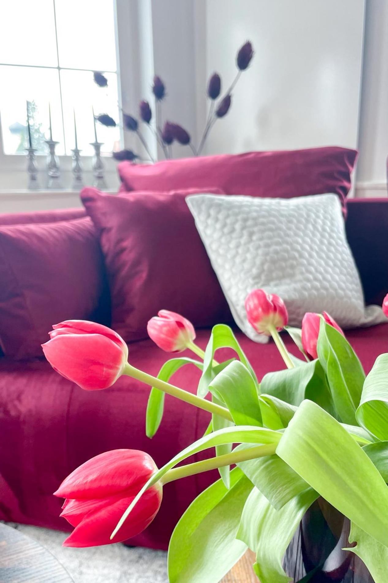 Velvet Ein Haus Mit Geschichte Im Herzen Tettnangs Messe Friedrichshafen Apartment Ngoại thất bức ảnh