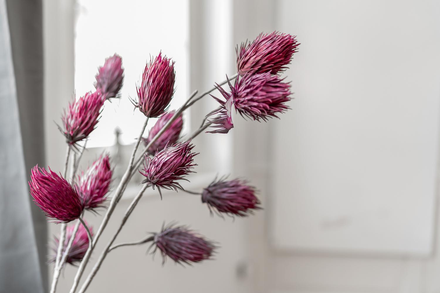 Velvet Ein Haus Mit Geschichte Im Herzen Tettnangs Messe Friedrichshafen Apartment Ngoại thất bức ảnh