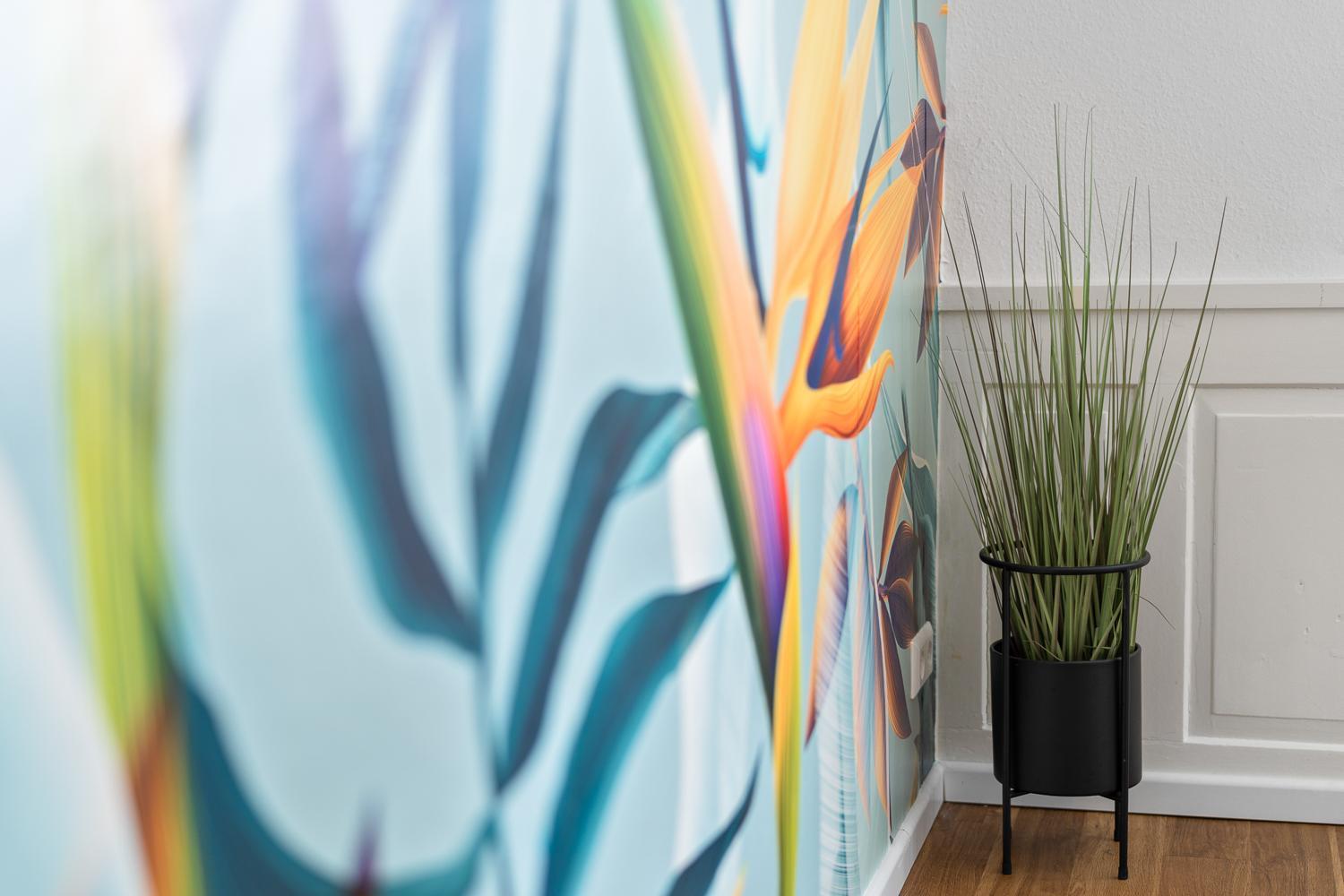 Velvet Ein Haus Mit Geschichte Im Herzen Tettnangs Messe Friedrichshafen Apartment Ngoại thất bức ảnh